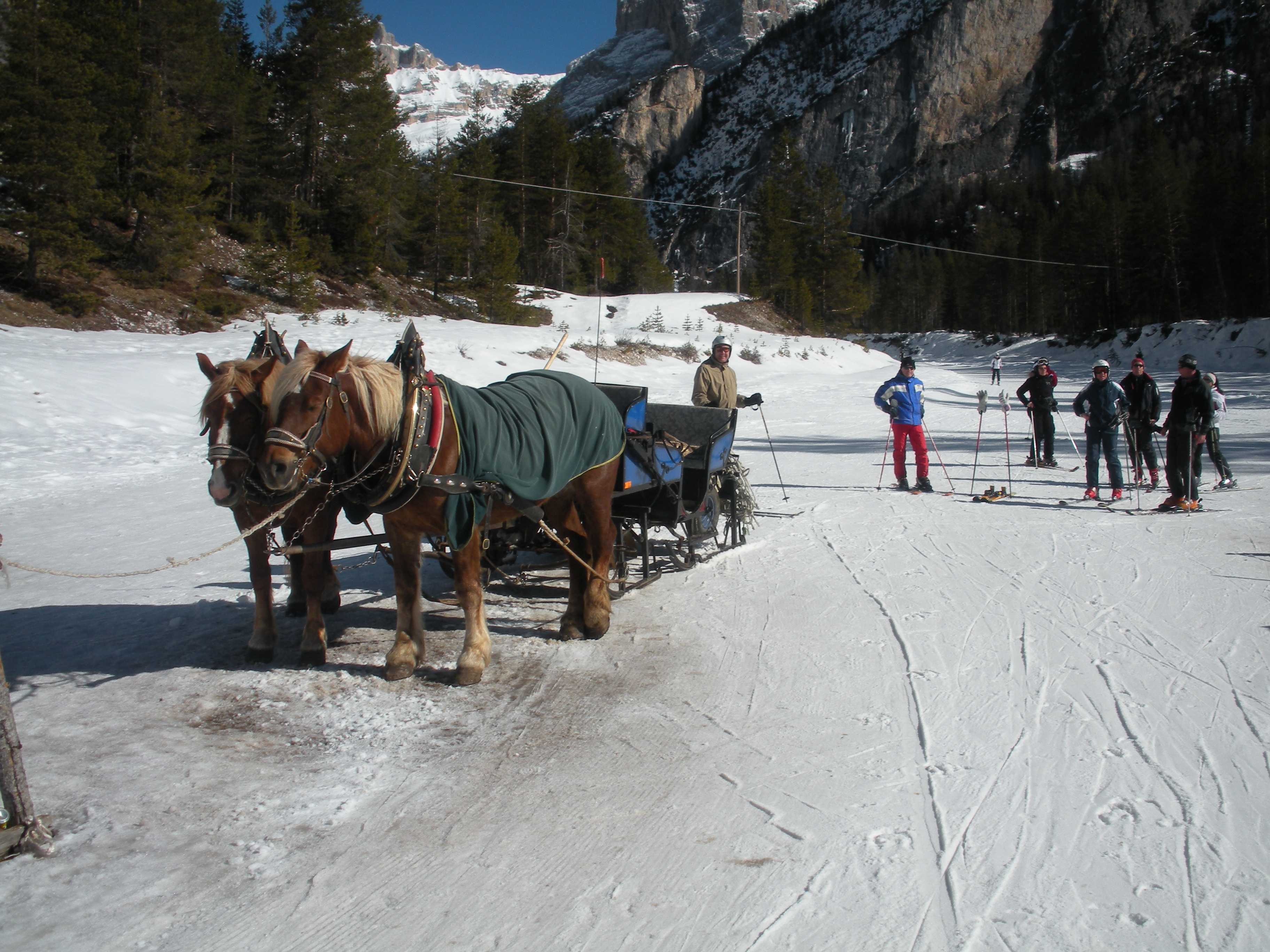 San Cassiano, pronti al tiro dei cavalli